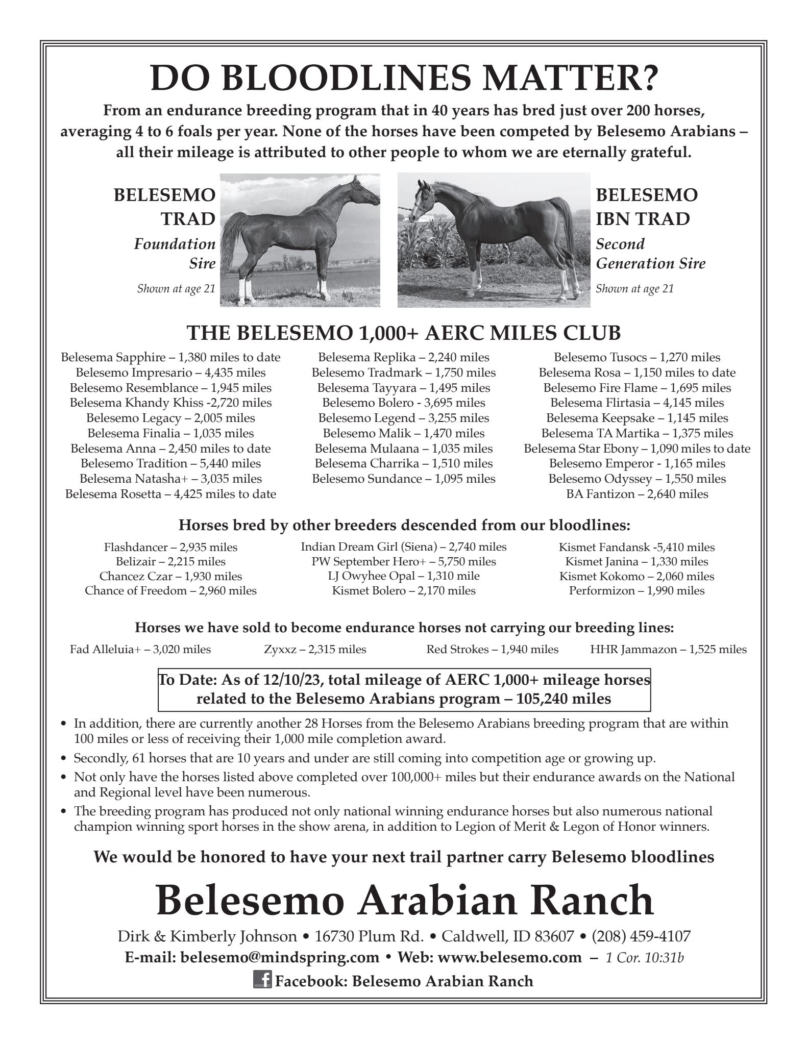 Belesemo Arabians blood lines over the years
