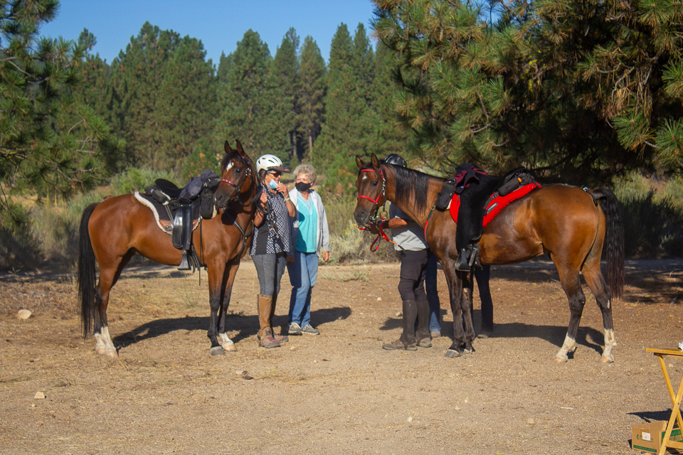 Old Selam Ride Belesemo horses