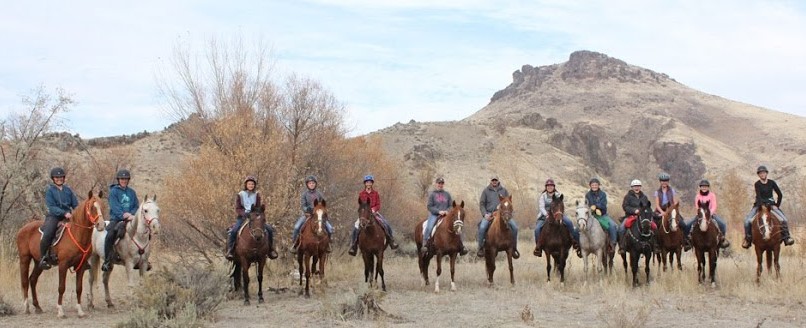 Belesemo Arabians Spring in the desert