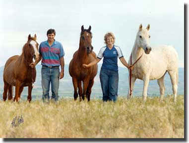 dowager foundation mares