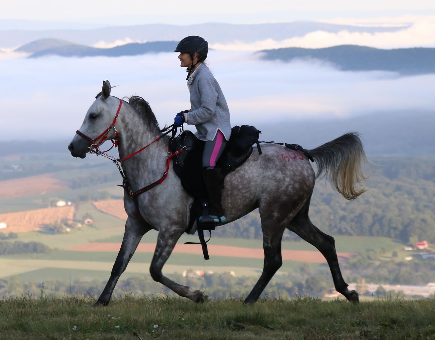 Belesema Sans Angel and rider