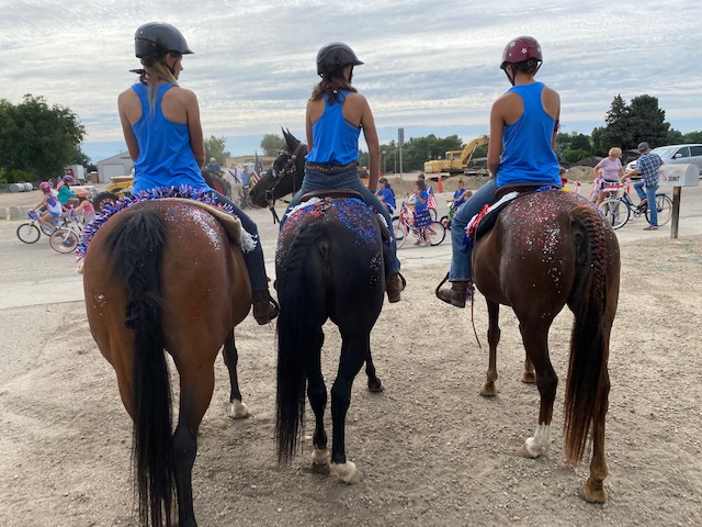 horses decorated for the parade