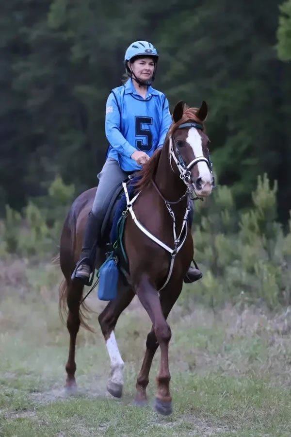 Belesema Sapphire and Breyer Model