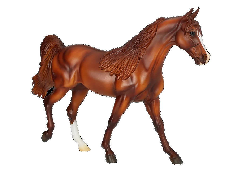 Sapphire Breyer model head view