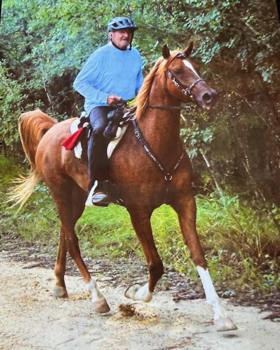 Belesemo Gold Monarch 2025 National Championship