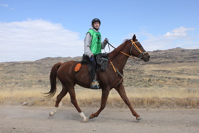 Belesema Ruby Jewel competing at AHA Nationals