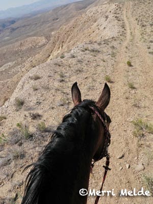 Rim Trail