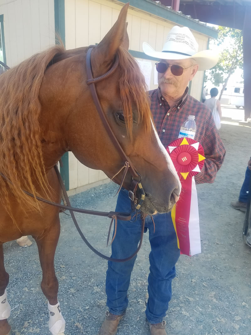 Magic Man Regional ribbons