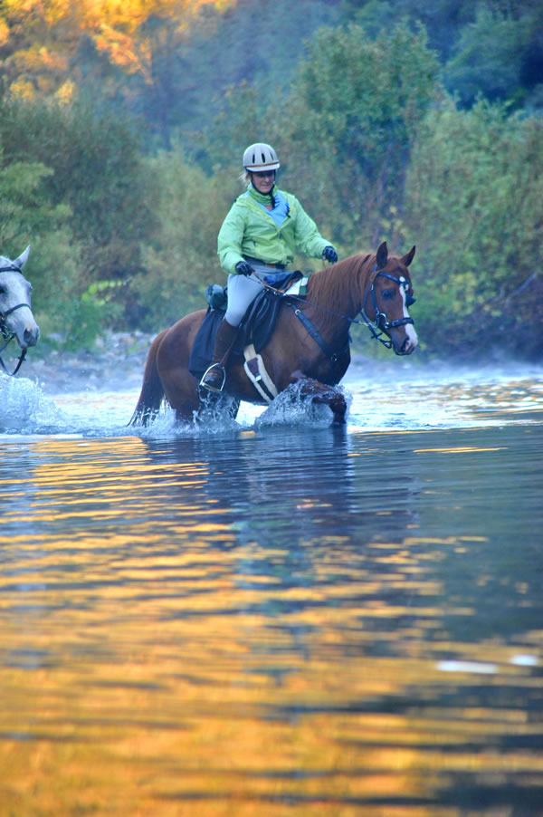 Belesema Tayyara in water