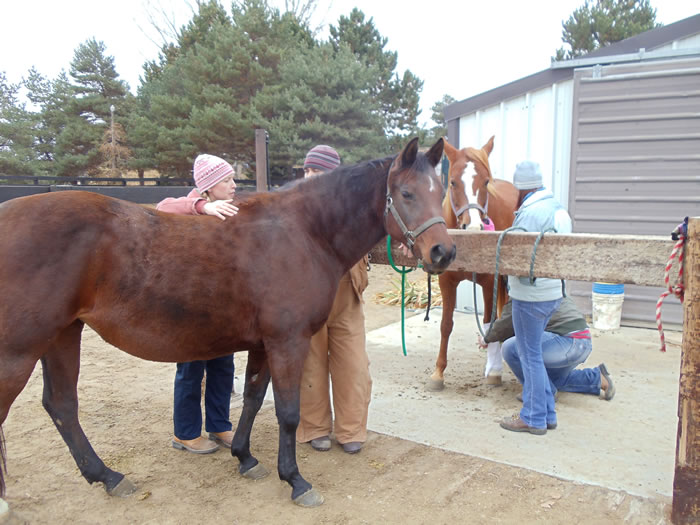 vet clinic