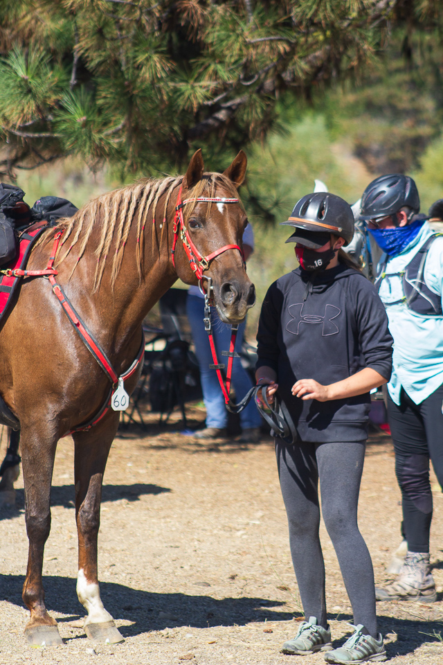 Old Selam Ride ready to get on trail