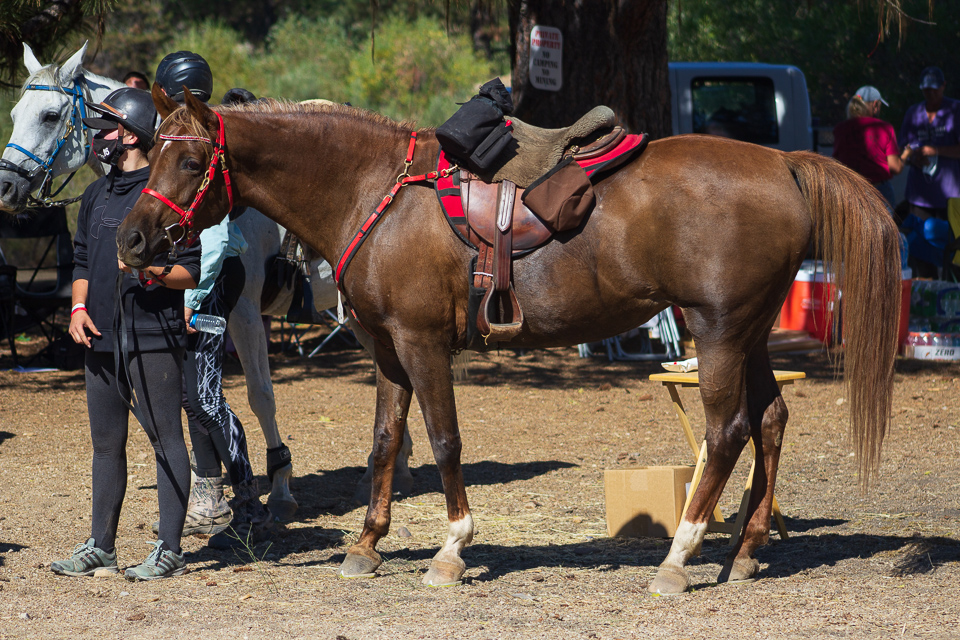 Old Selam Ride ready to ride