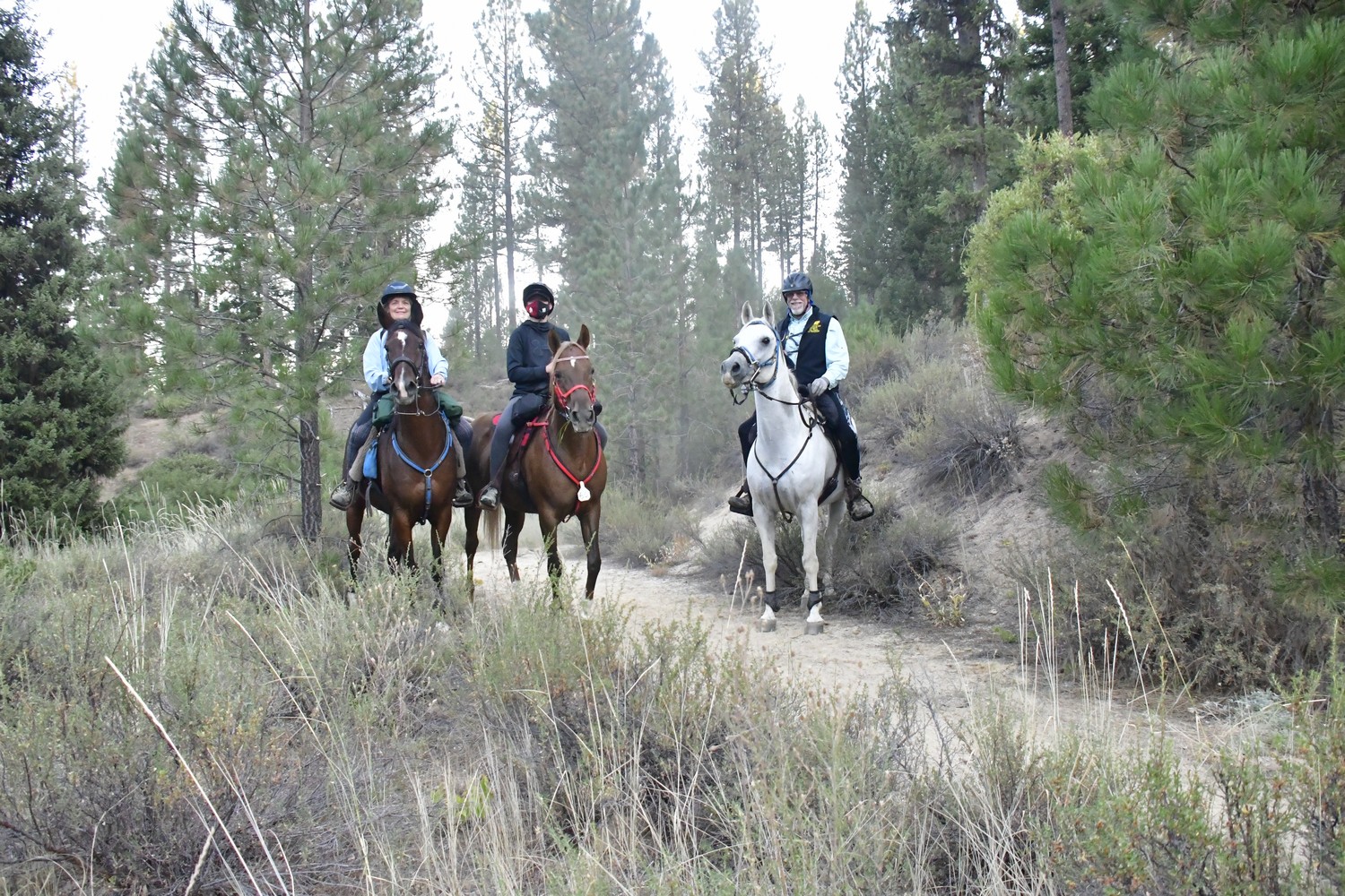 Old Selam Ride on trail