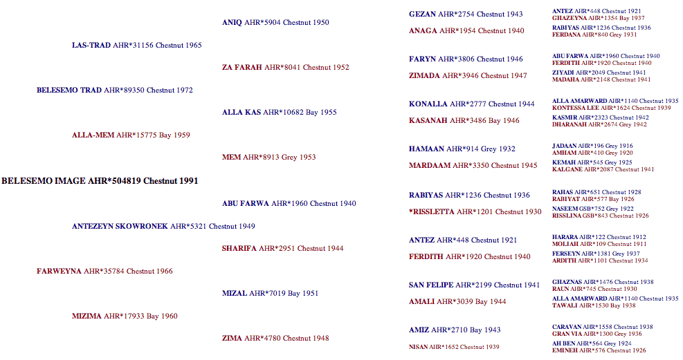 Belesemo Image Pedigree
