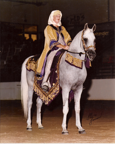 Sanskrit Costume