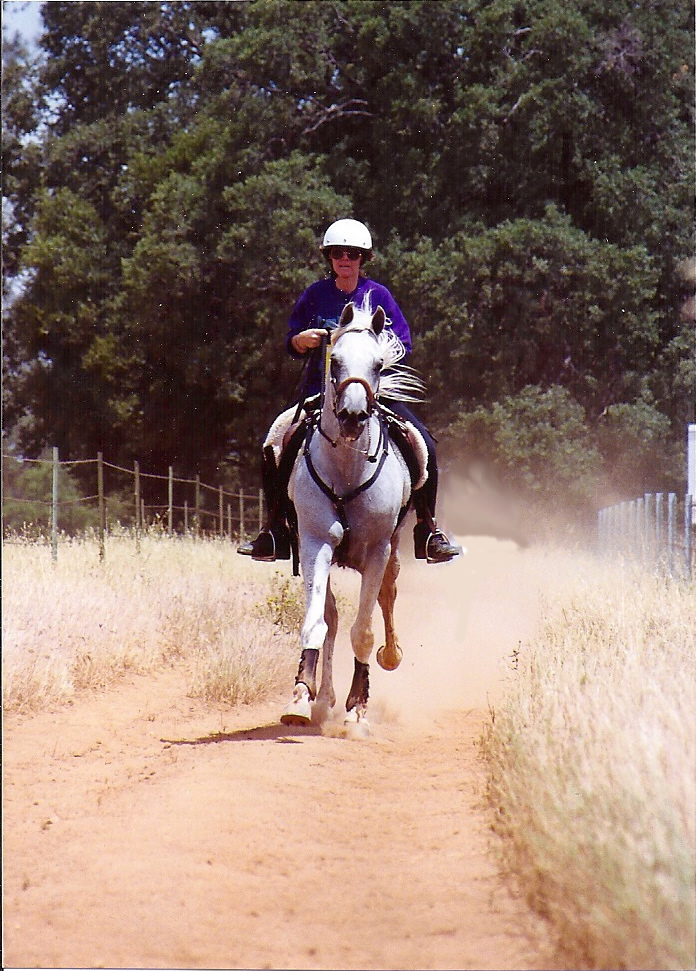 Sanskrit Trail
