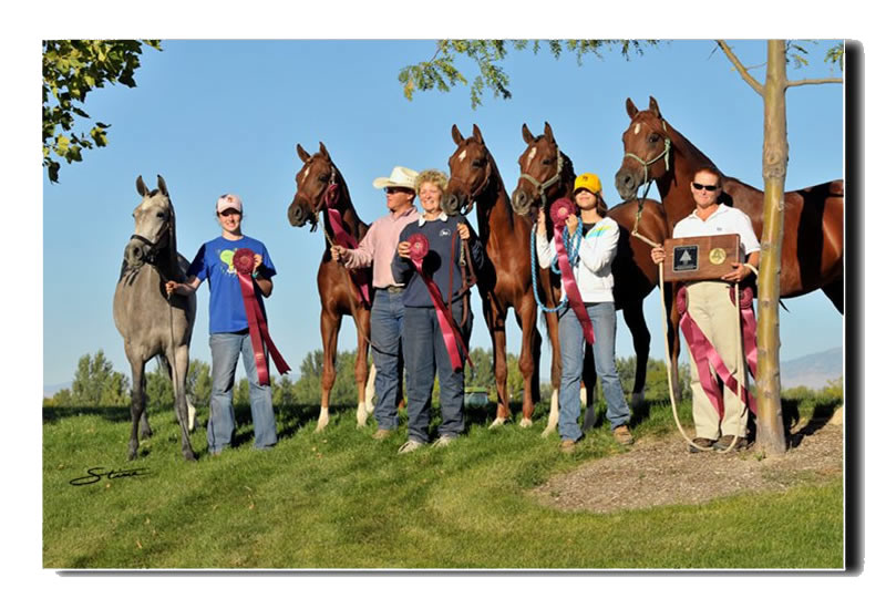 2010 US Sport Horse Nationals