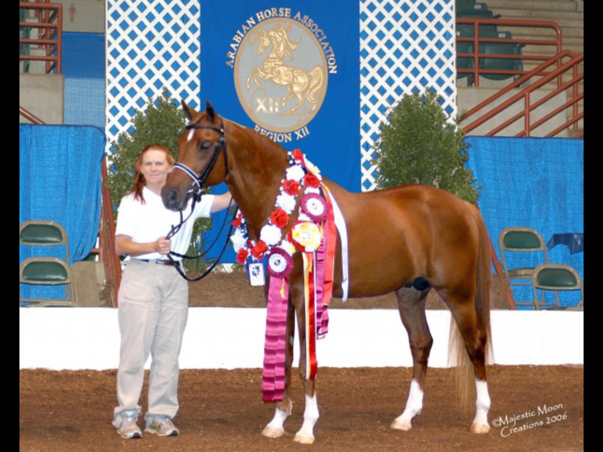 Belesemo Epic Plus awards