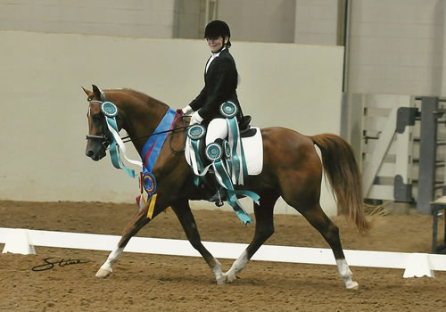 Belesemo Epic Plus at Nationals