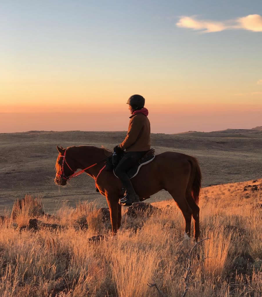 BR Gold Sovereign enjoying a sunset