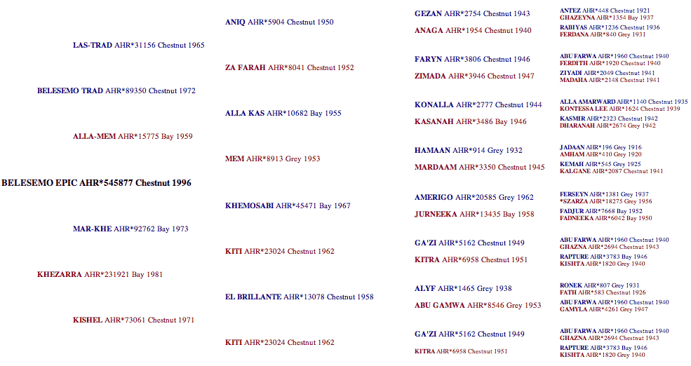 Belesemo Epic pedigree